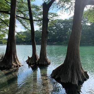 Meet your Posher, Guillermo